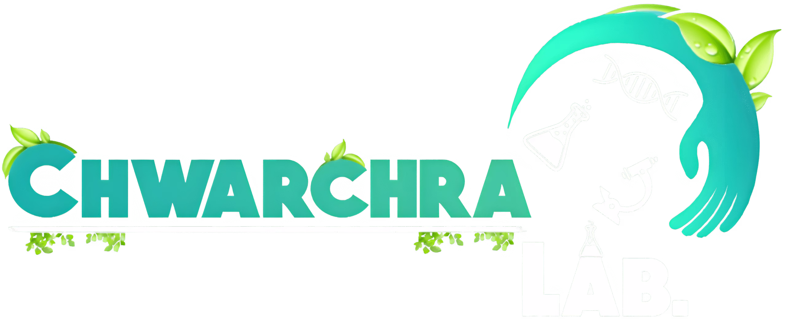 تاقیگەی چوارچرا