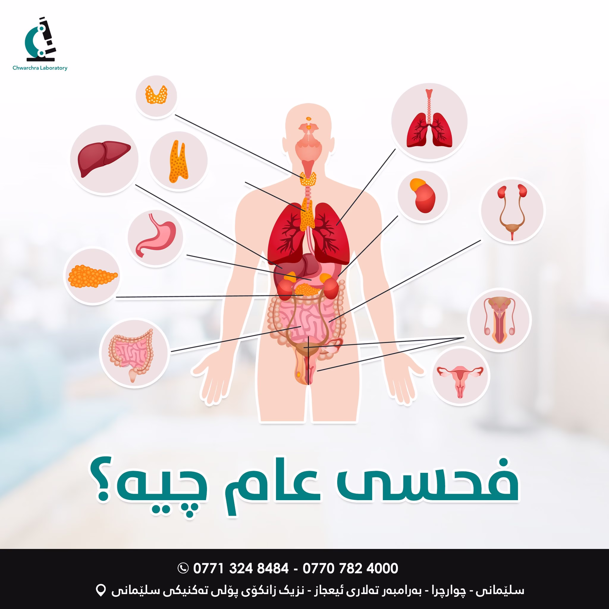 فحسی عام ‌چیە؟